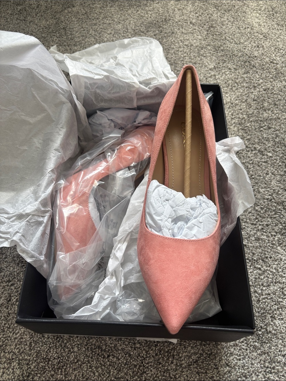 Coach Pointed Suede Heels in Rose Pink